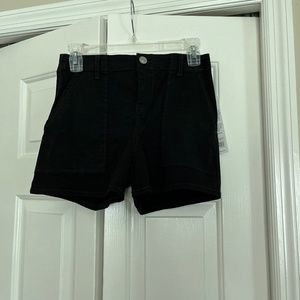NWT Hudson Short